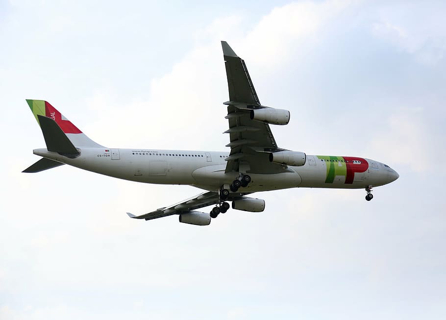 low-angle photography, white, green, red, passenger plane, opened, landing gear, inflight, plane, tap