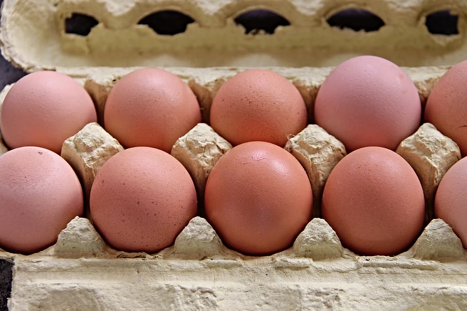 egg, box, brown, egg box, filled, full, egg crate, chicken eggs, cardboard, egg carton