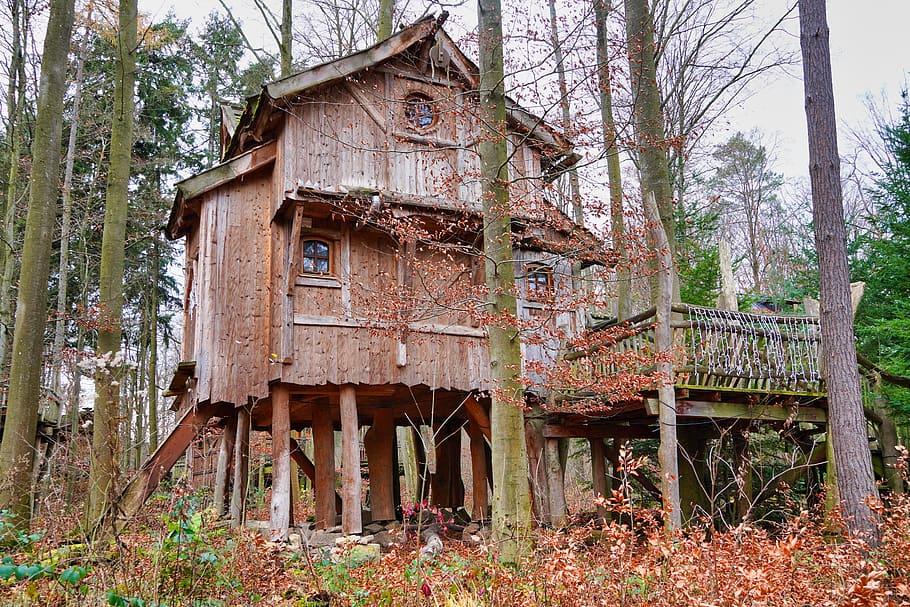 treehouse, log cabin, tree house hotel, forest, forest hotel, hotel, wood, architecture, room, house