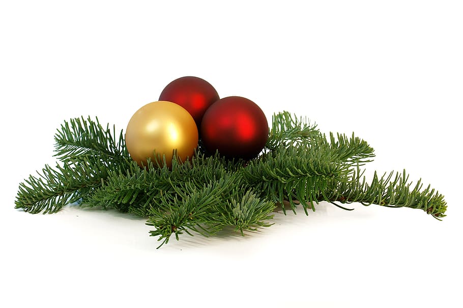 three, red, gold christmas baubles, tree decorations, christmas balls, balls, christmas, christmas decorations, fir green, gold