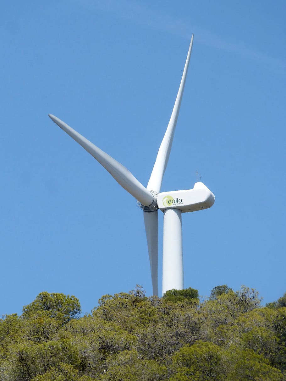 mill, wind turbine, top, detail, renewable energy, sky, tree, blue, clear sky, low angle view