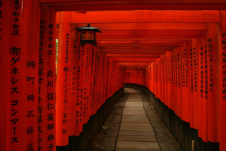 thousand gates, japan, tori, asia, shrine, buddhism, religion, architecture, red, in a row