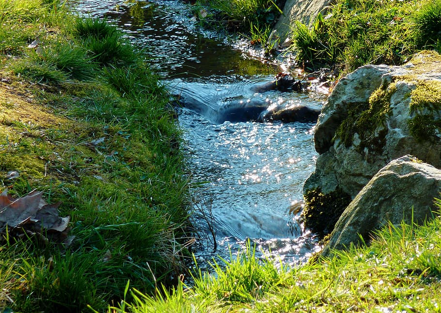 bach, creek, brook, trees, embankment, recovery, rock, flow, river, frisch