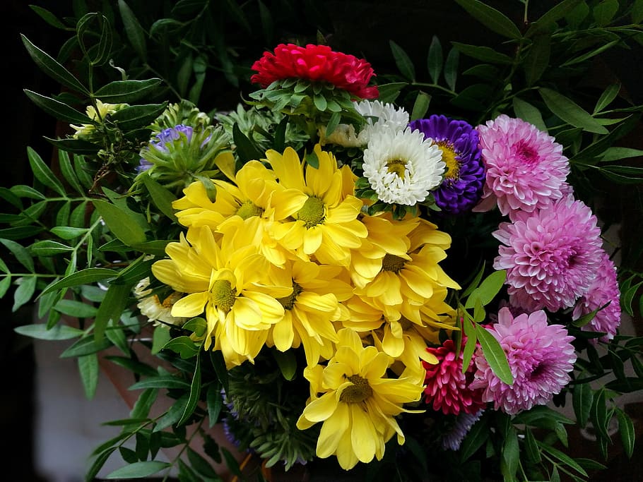 flowers, color, yellow, rosa, green, chrysanthemums, margaritas, bouquet, flower, flowering plant