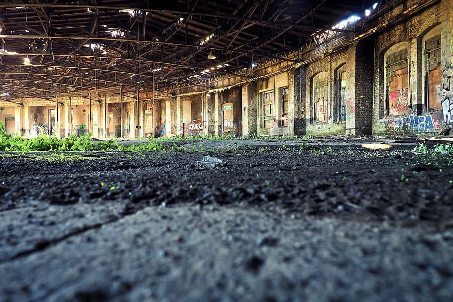 close-up, brown, soil, lost places, pforphoto, old factory, leave, decay, lapsed, building