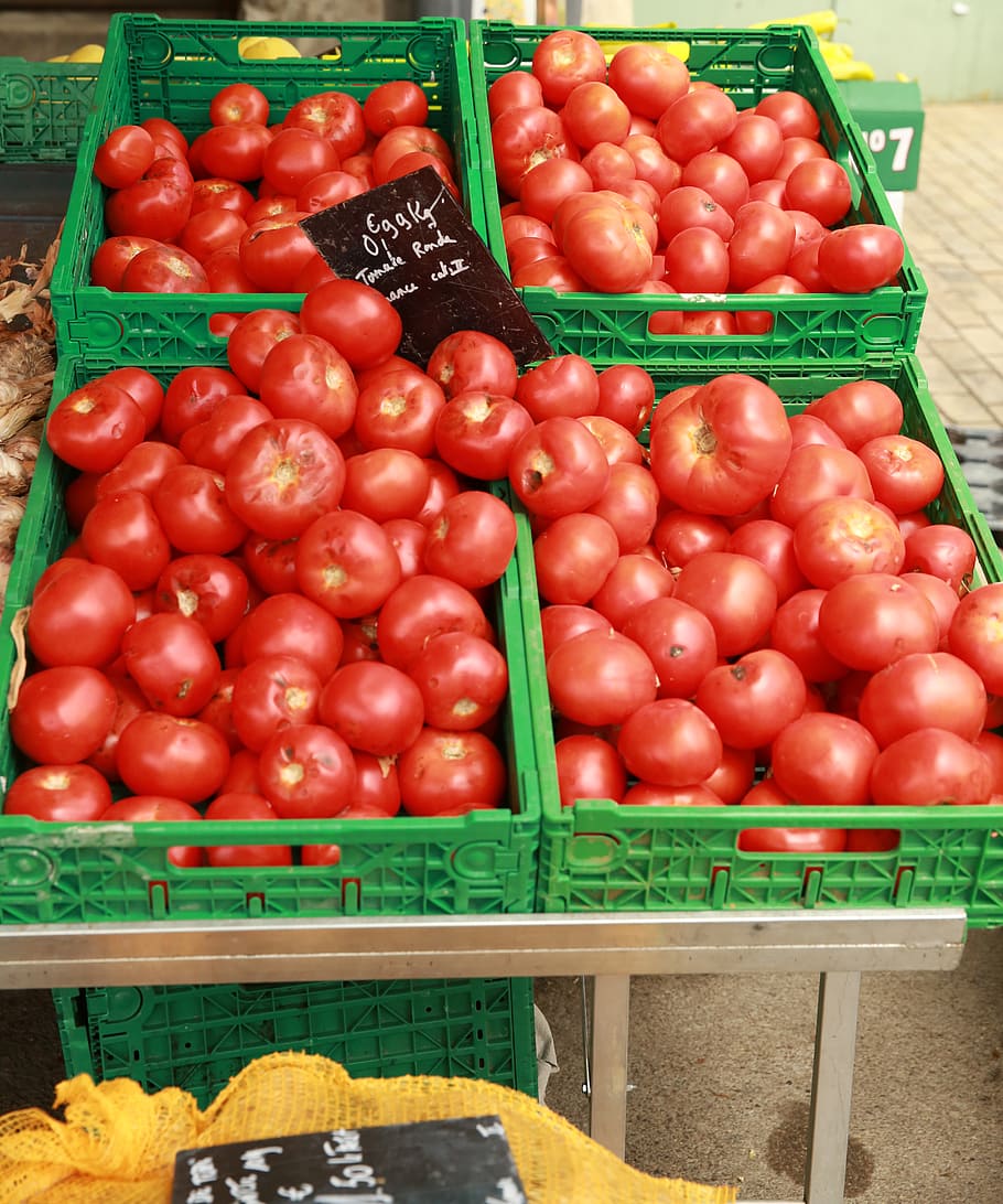 Elles, ne, belles, mais, tomatoes, plastic, crates, vegetable, food, healthy eating