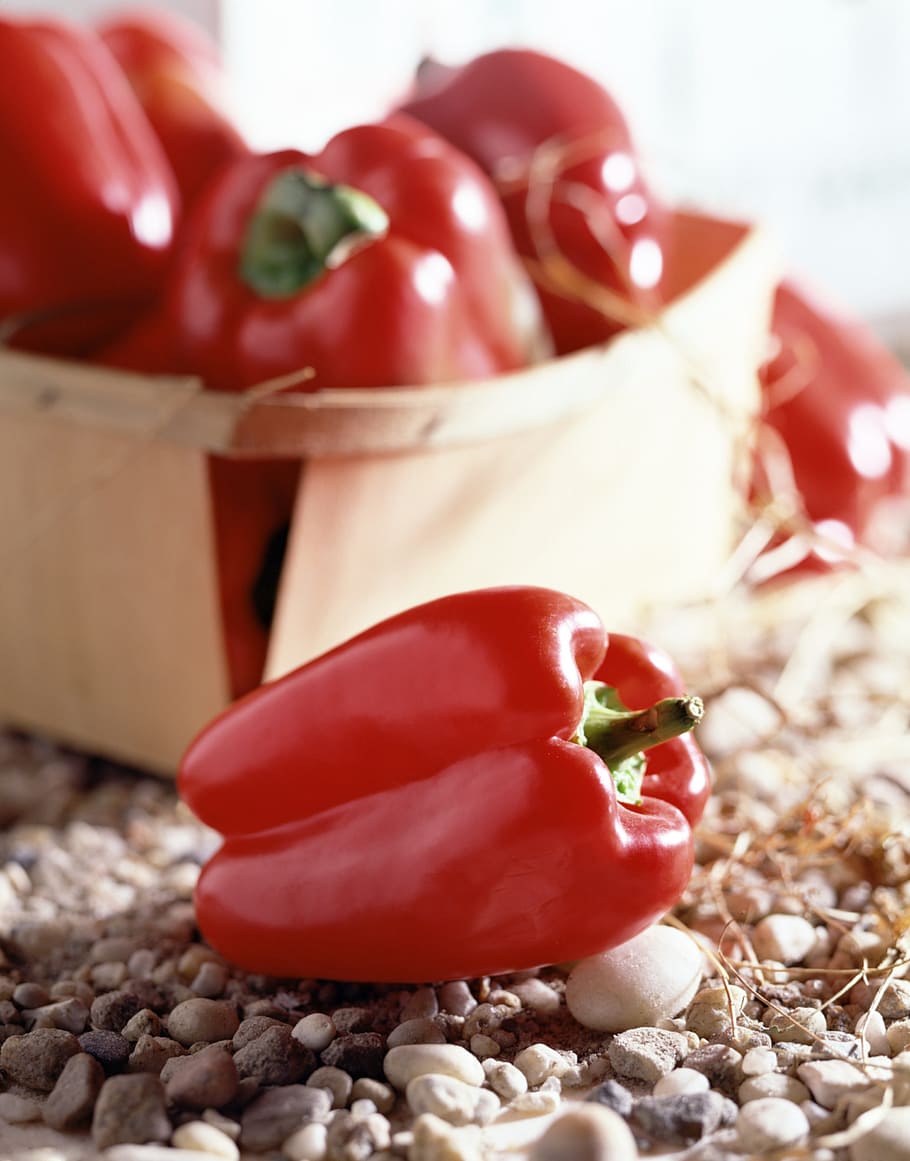 green peppers, vegetables, pepper, red, garden, red peppers, food, food and drink, freshness, healthy eating