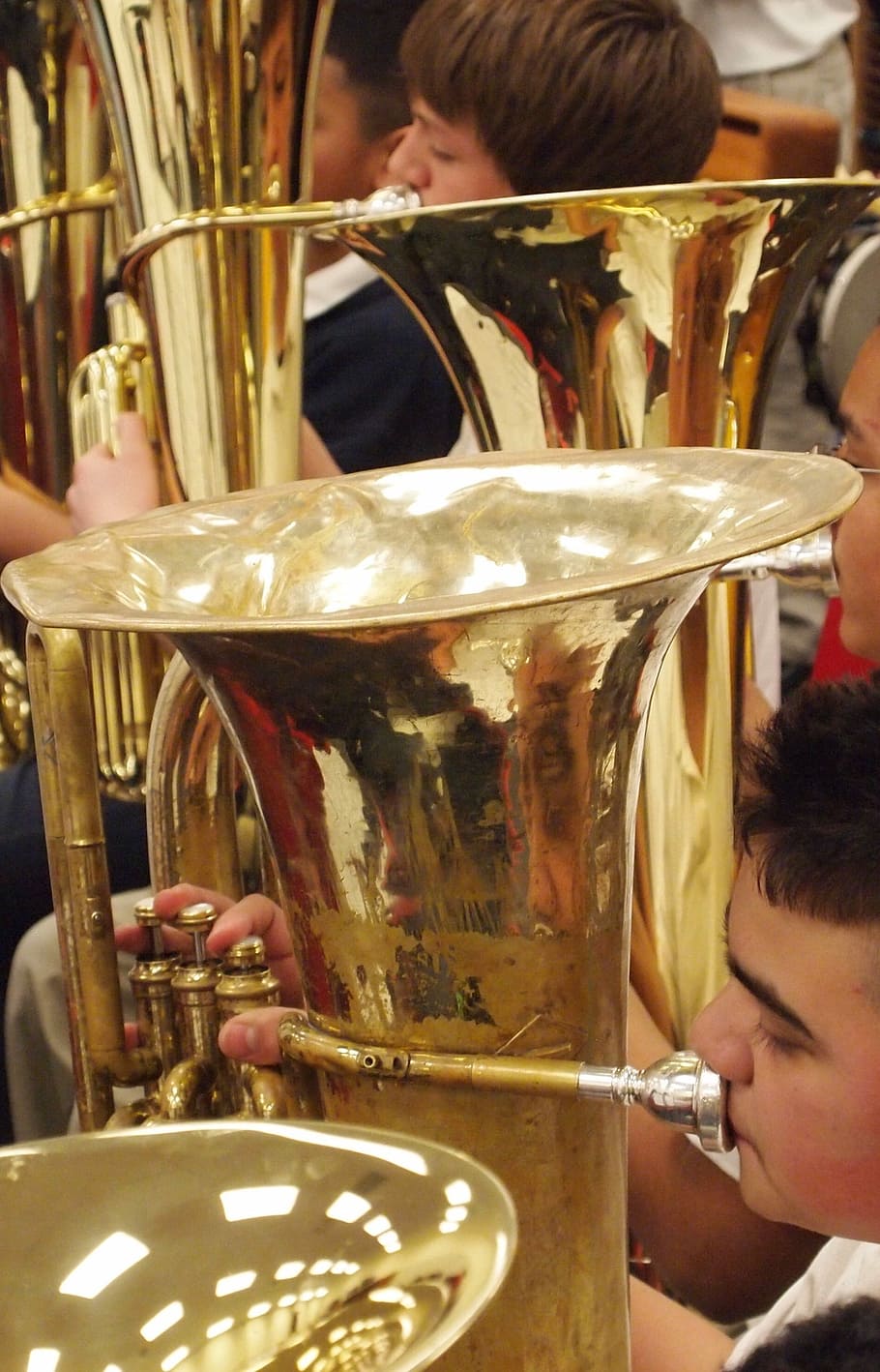 Band, Musical Instruments, Education, tuba, music, jazz, indoors, adult, reflection, adults only