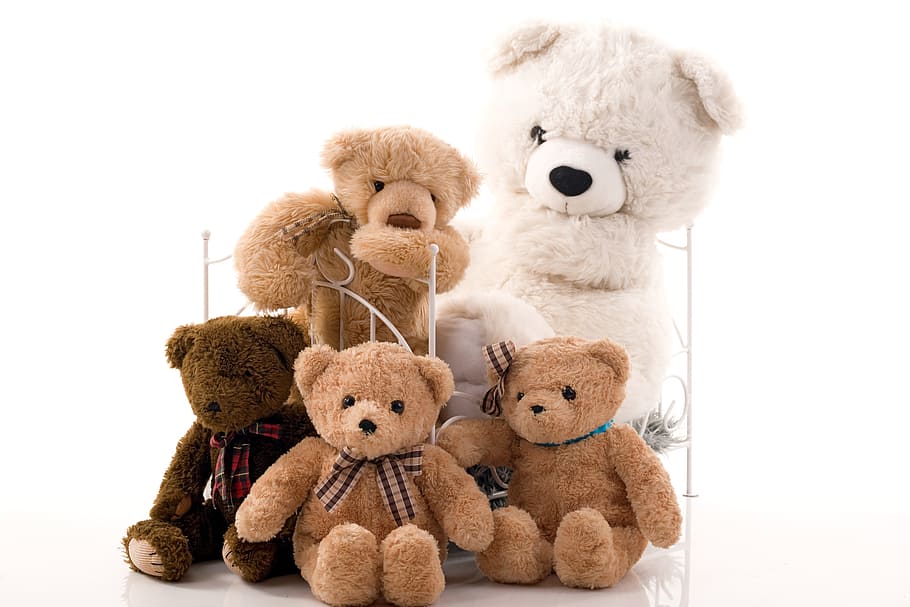 assorted-size, white, brown, teddy, bears, bear, plush toy, collection, family, group