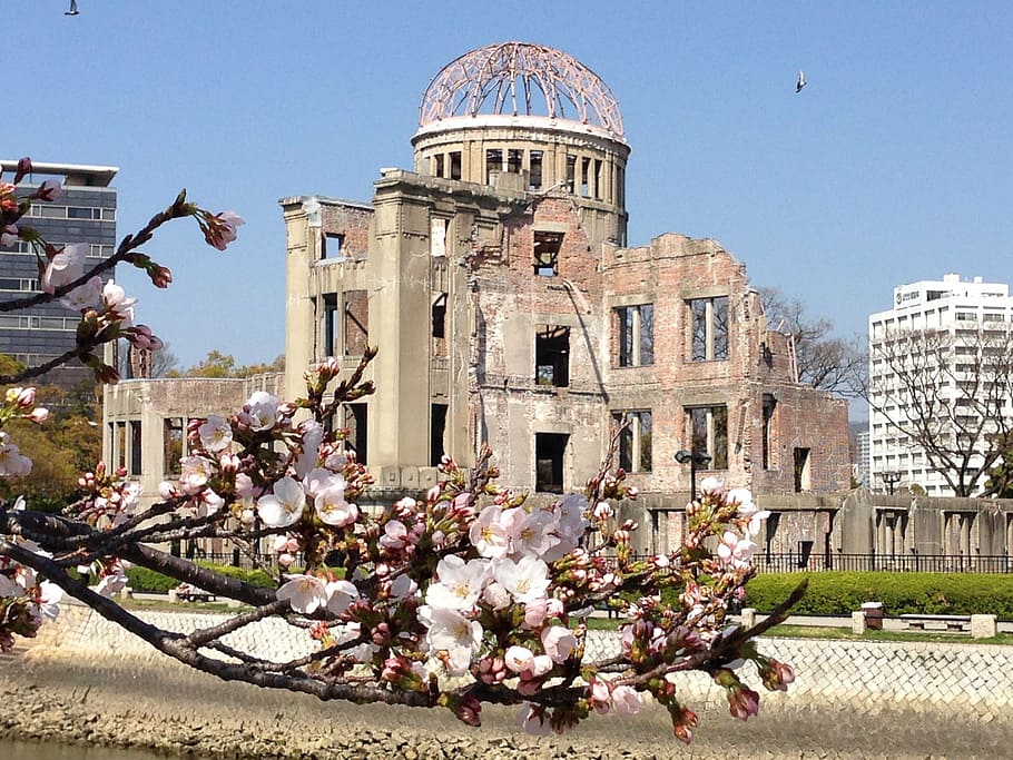 construção de cúpula marrom, japão, hiroshima, flores de cerejeira, sakura, cúpula da bomba atômica, paz, cereja, arquitetura, exterior do edifício