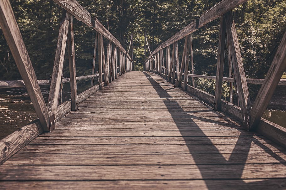 wood, bridge, water, trees, nature, outdoors, the way forward, direction, connection, tree