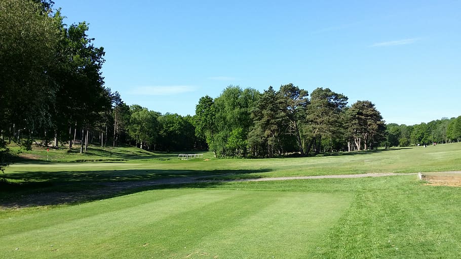 golf, golf course, green, grass, landscape, outdoor, summer, golfing, fairway, scenic
