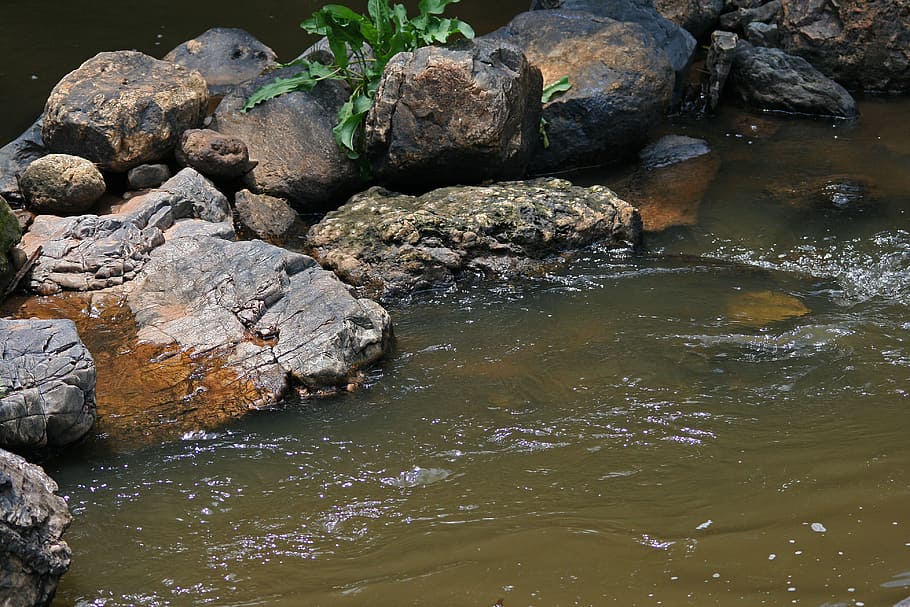 rocas en arroyo, arroyo, agua, primavera, que fluye, rocas, rugoso, natural, roca, roca - objeto