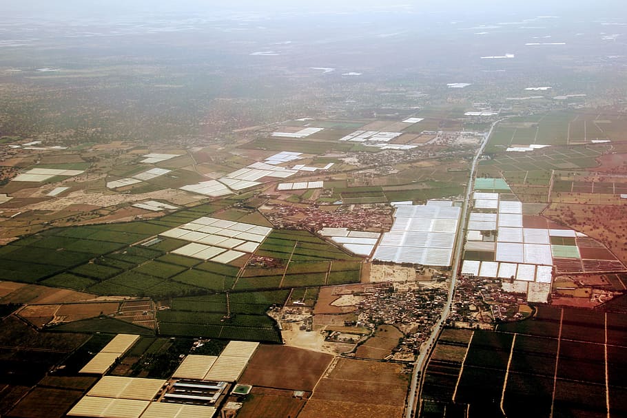 Agadir, Landing, Overview, Fields, strawberry greenhouse, greenhouse, day, window, outdoors, nature