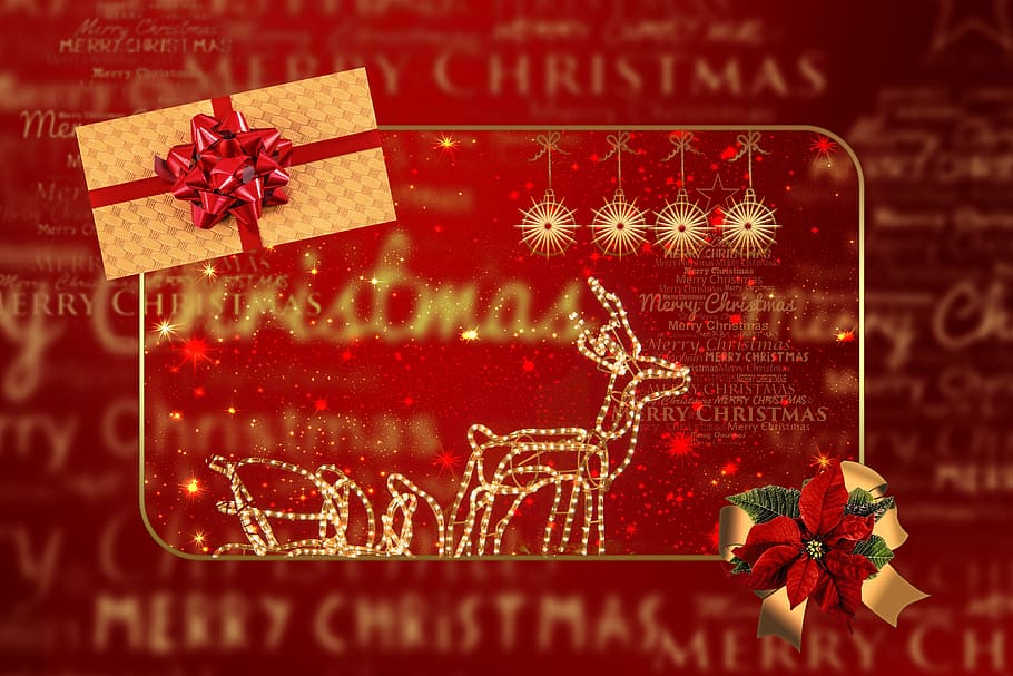 christmas gift card illustration, christmas, advent, map, lichterkette, lights, gift, poinsettia, tree decorations, decoration
