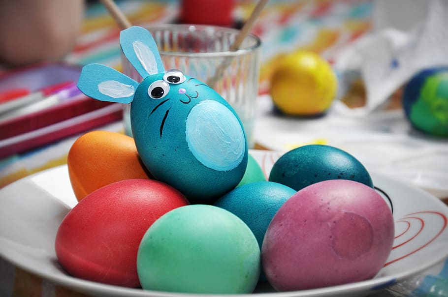 easter, easter eggs, rabbit, bunny, hare, eggs, painting eggs, easter egg, colored, basket