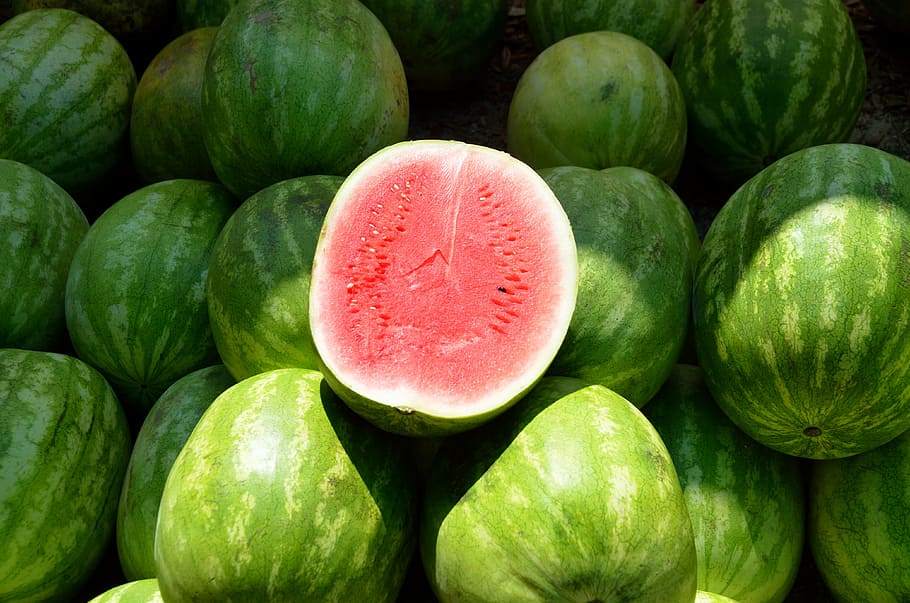 watermelons, water melon, fruit, sweet, melon, food, nutrition, red, healthy, summer
