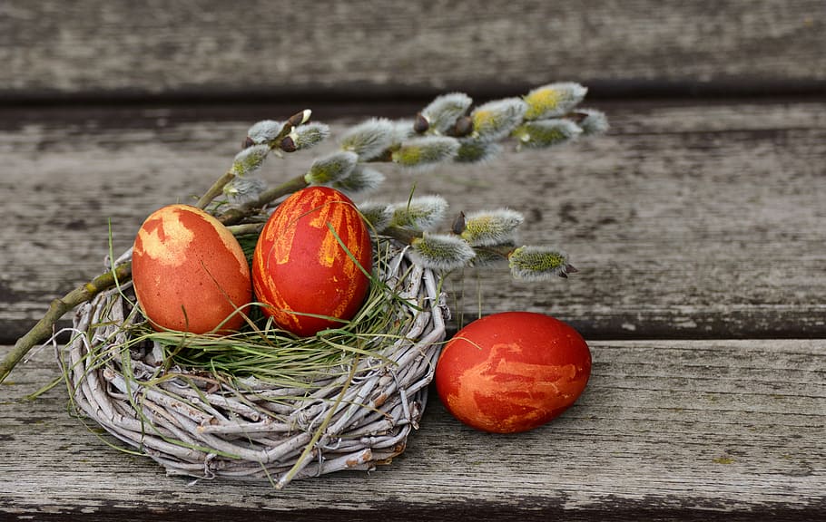 três, ovos, ninho, ovos de páscoa, ninho de páscoa, decoração de páscoa, páscoa, ovo, feliz páscoa, saudações de páscoa