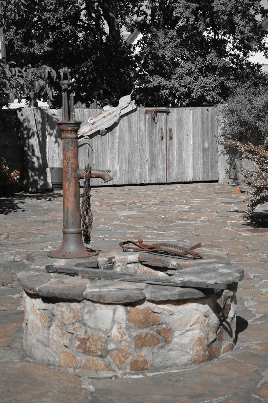 water pump, monochrome, artistic, tree, plant, architecture, day, built structure, nature, outdoors