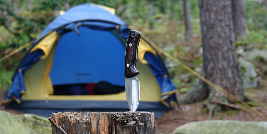 stabbed, wood stump, day, Sweden, Camp, Forest, Tent, Knife, natural, focus on foreground