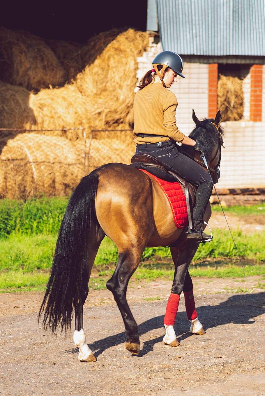 woman, riding, horse, animals, mare, jockey, training, girl, outdoors, hey