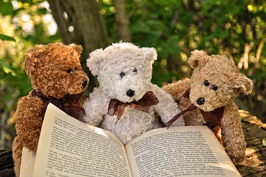 bear, teddybear, toy, cuddly toy, teddy, stuffed, stuffed animal, book, reading, bears reading a book