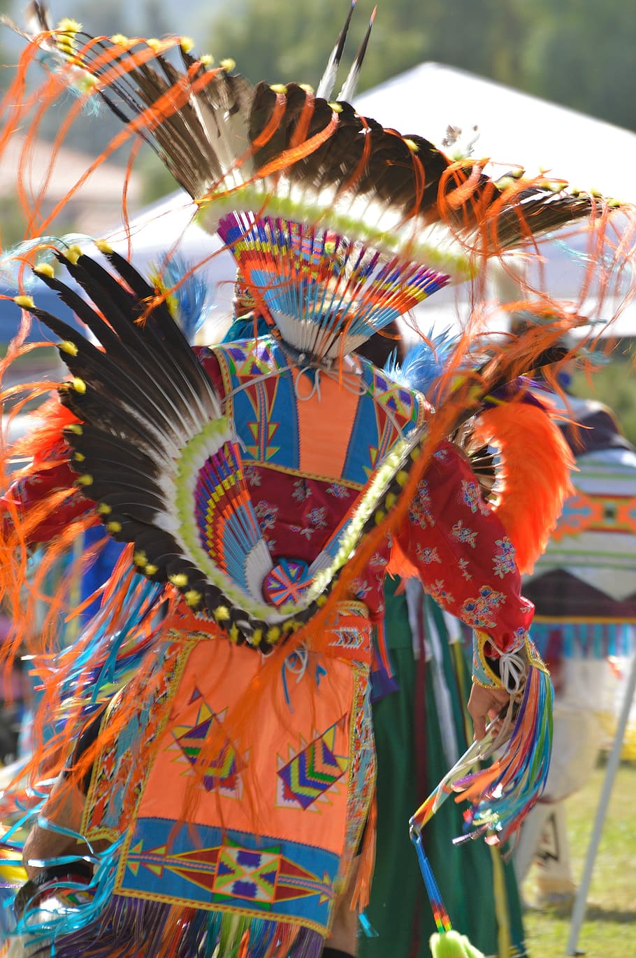 powwow, american indian, dance, tribal, culture, american, regalia, feathers, southwestern, colorful