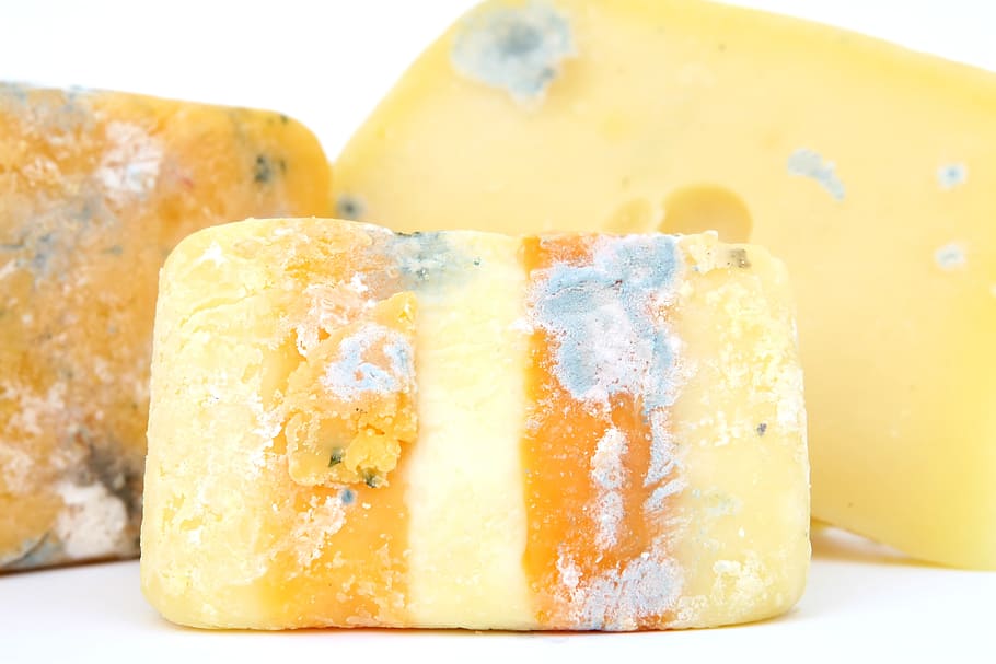 Foto de queso azul, edad, bacterias, bio, biología, azul, brie, error, queso, colorido