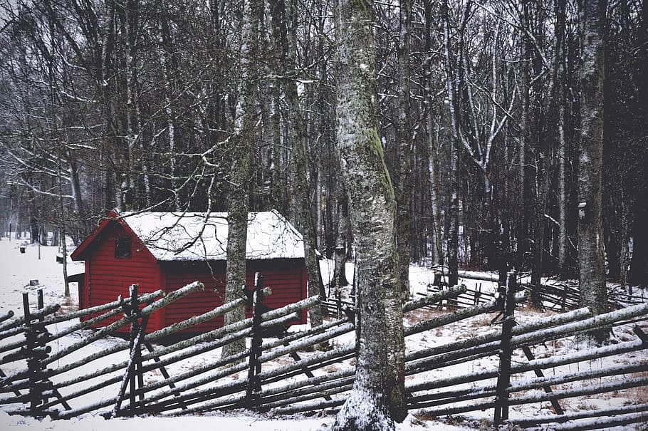 house in woods, house, trees, snow, winter, fence, trunk, braches, vacation, trip