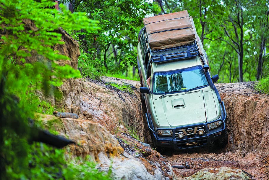 木, 屋外, 自然, 自動車, 輸送モード, 輸送, 車, 植物, 陸上車両, 固体