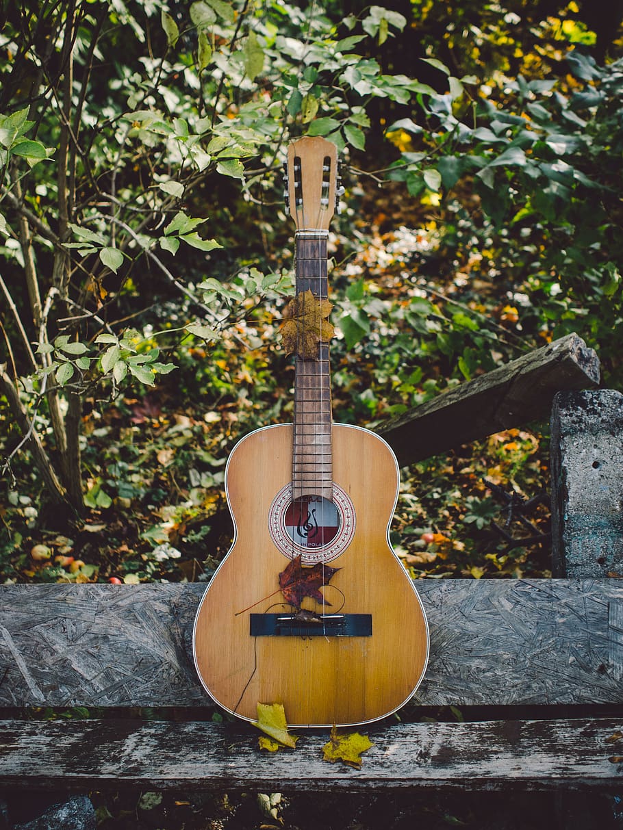 acoustic, guitar, music, instrument, musical instrument, string instrument, musical equipment, arts culture and entertainment, acoustic guitar, string