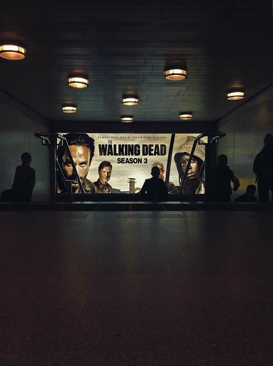 caminando, muertos, cartel de la temporada 3, cine, película, teatro, muertos vivientes, televisión, espectáculo, entretenimiento