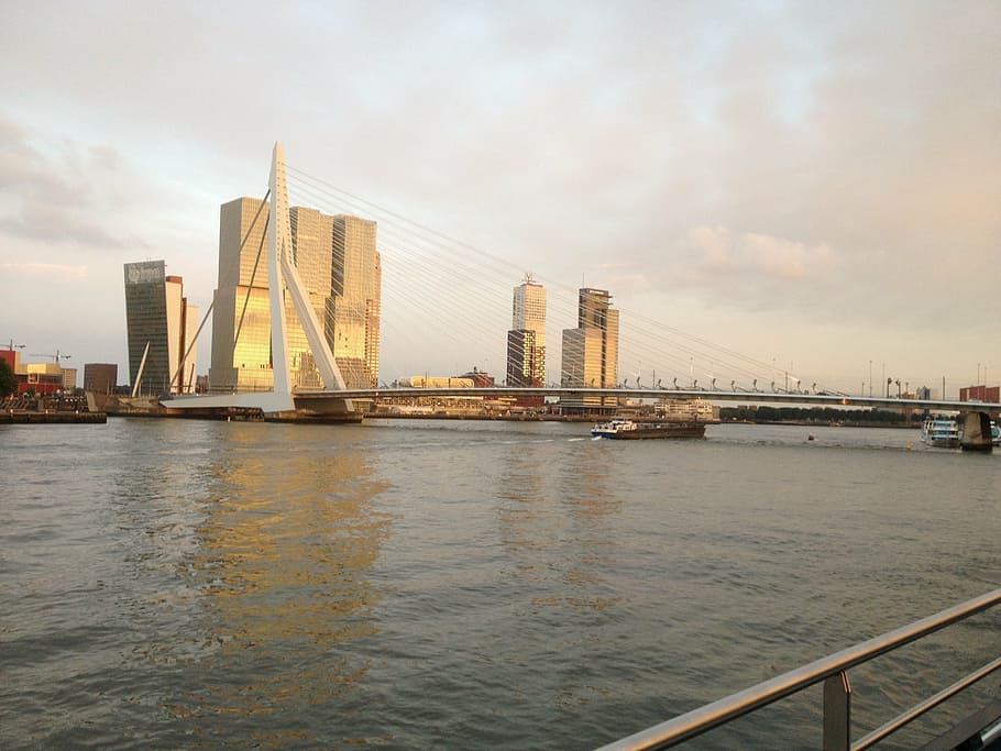 skyline, rotterdam, city, erasmus, netherlands, architecture, holland, modern, river, bridge