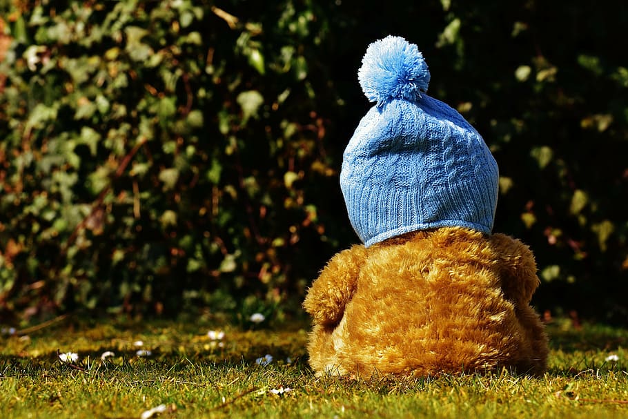 brown, teddy, bear, wearing, blue, bobble hat, green, grass, teddy bear, cap