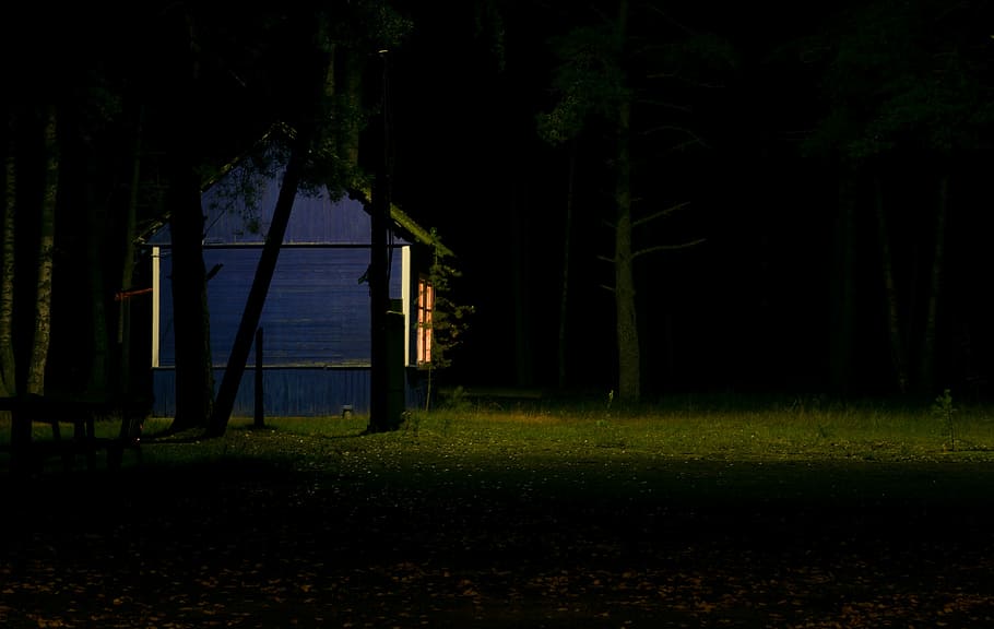 blue, paint house, surrounded, trees, house, night, time, hut, cottage, green