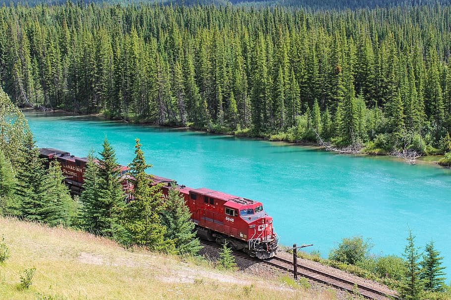 rojo, tren, pasando, ferrocarriles, motor, río Bow, Banff, Alberta, Canadá, bosque
