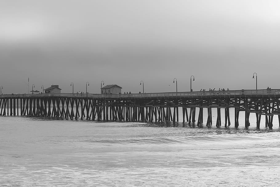 fotografía en escala de grises, puente, gris, escala, mar, cielo, agua, muelle, playa, luces
