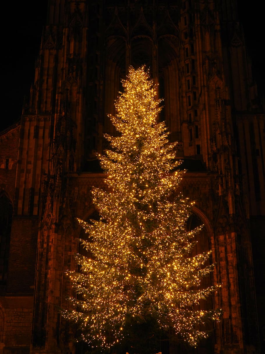 laranja, iluminado, natal, catedral de ulm, igreja, campanário, iluminação, lâmpadas, decoração de natal, praça da catedral