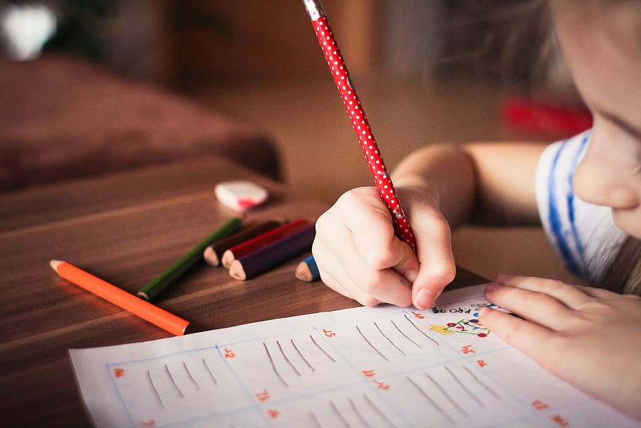 gadis, memegang, merah, pensil, menulis, putih, kertas cetak, anak, bermain, tenang