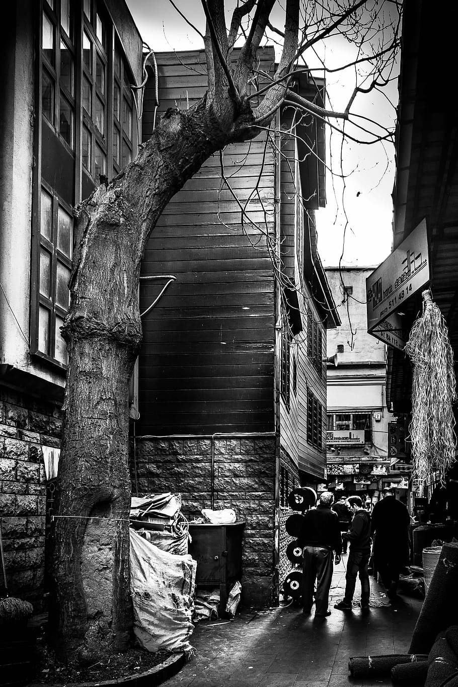 tree, street, life, nostalgia, work, istanbul, sky, turkey, black and white, black