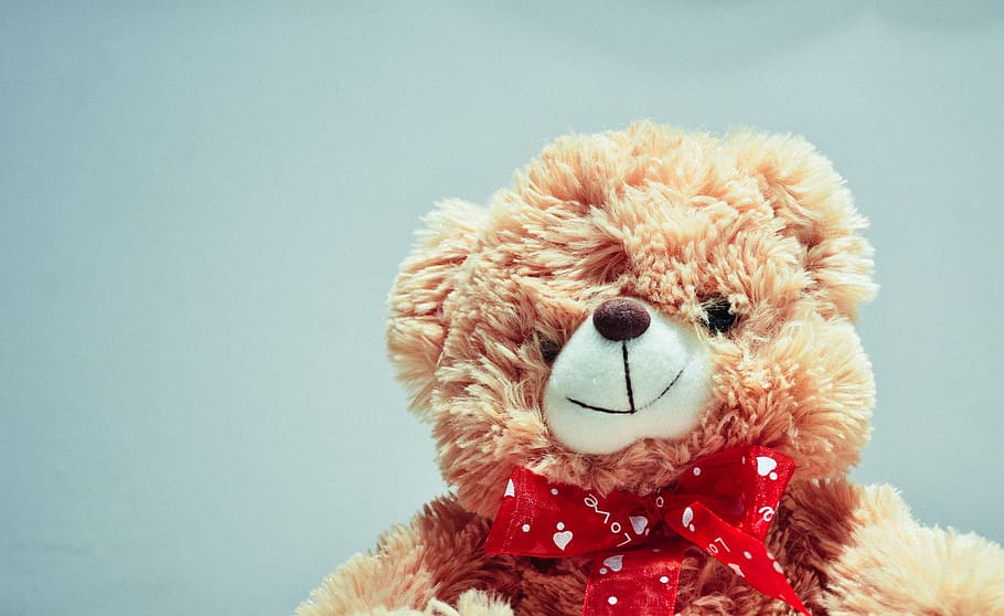 brown, bear, plush, toy, photography, teddy, teddy bear, stuffed animal, toys, children