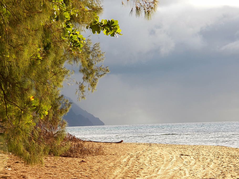 hawaii, kauai, sea, ocean, nature, water, beach, recreation, relax, fun