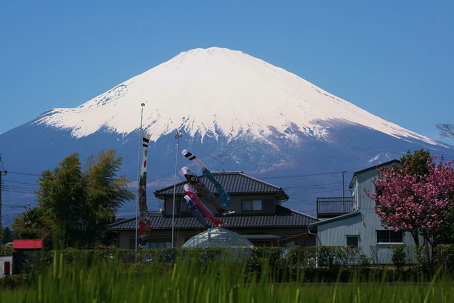 Mt Fuji, Gotemba, Satsuki, may, carp streamer, streamers, seasonal, events, kids, shizuoka prefecture