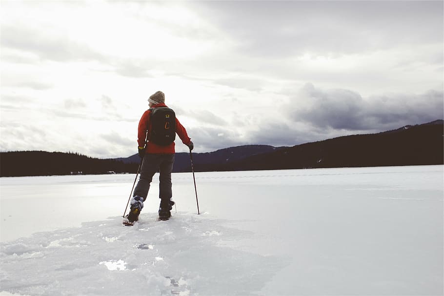 pessoa, segurando, dois, bastões de esqui, em pé, neve, coberto, paisagem, usando, esqui