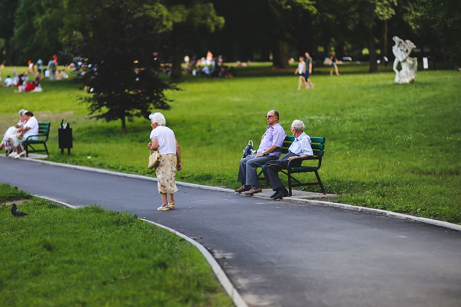 sitting, green, metal bench, park, daytime, People, Woman, Man, Senior, Garden