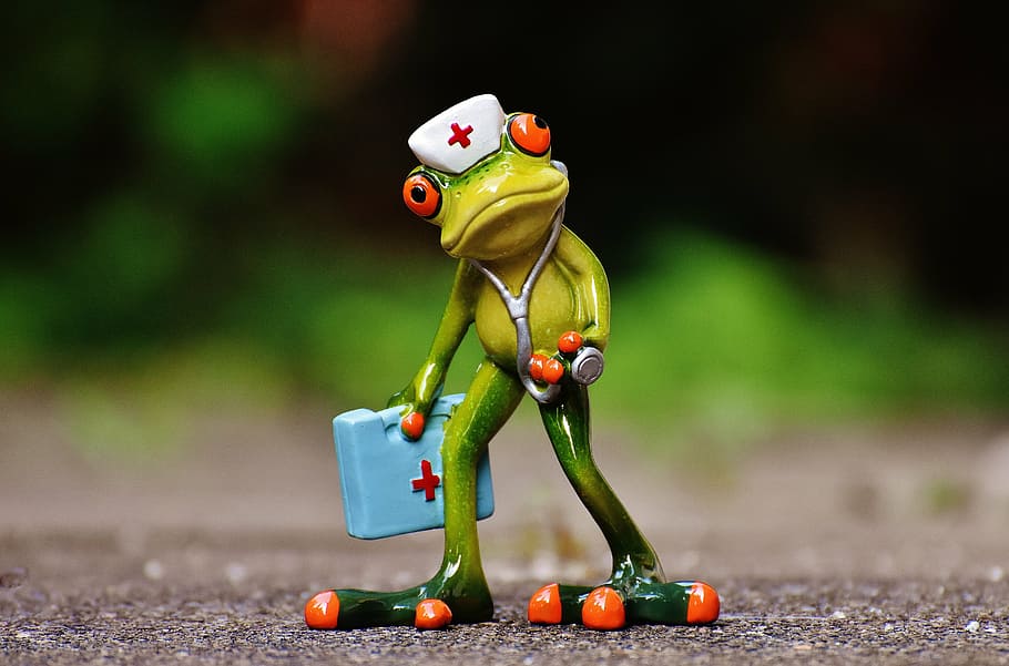 shallow, focus photography, red, eyed, frog, ceramic, figure, nurse, doctor on call, funny
