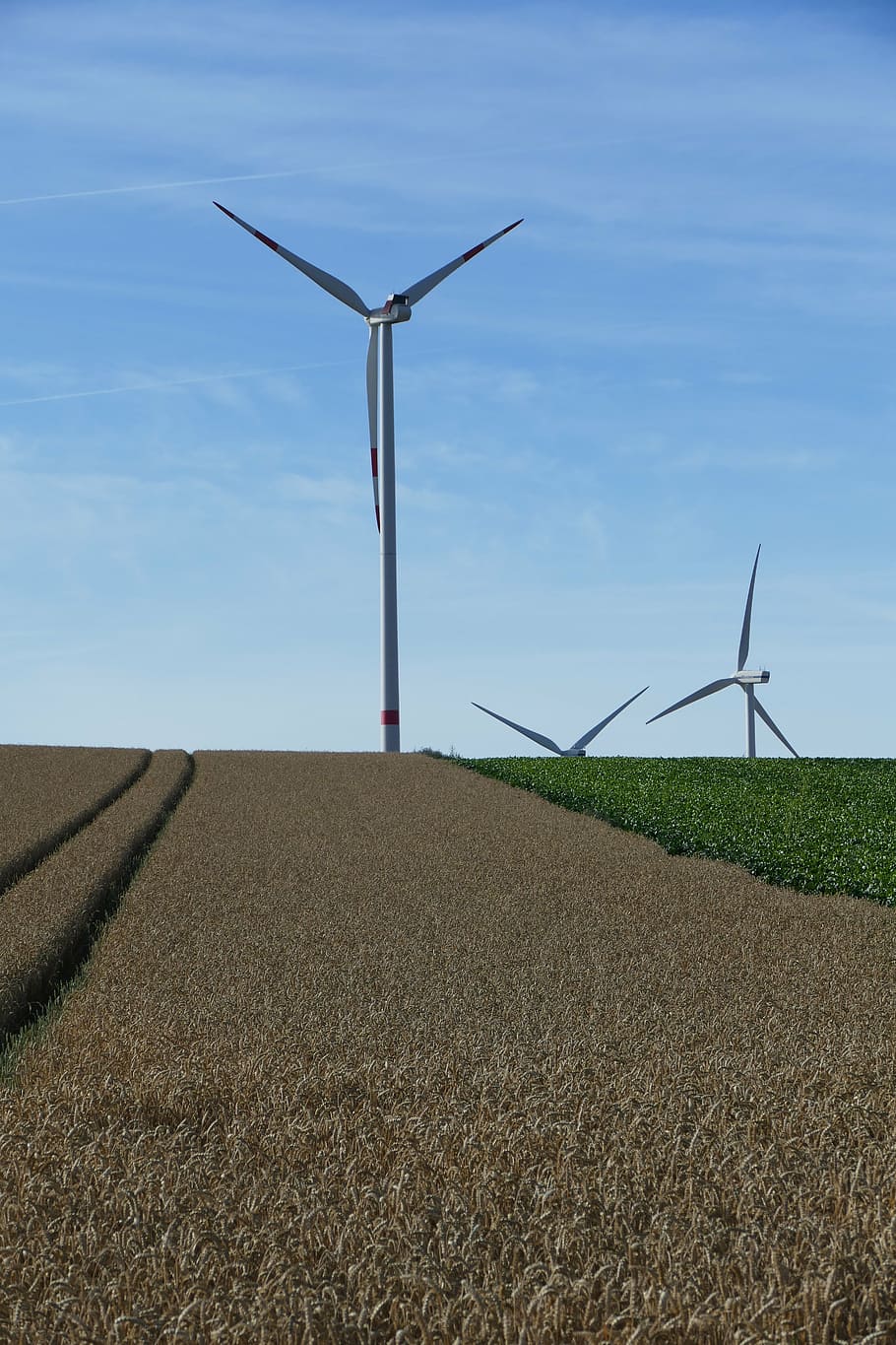 naturaleza, visión, turbinas eólicas, rotores, campo, arable, cereales, turbina eólica, turbina, combustible y generación de energía
