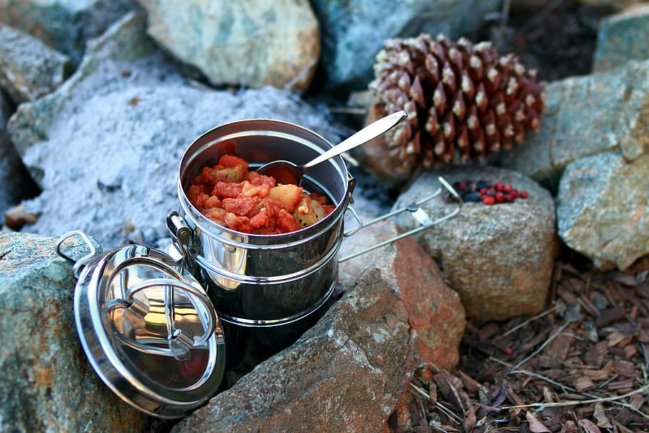 stainless, steel tiffin box, rocks, brown, pine cone, daytime, stew, camping, outdoor cooking, stainless steel