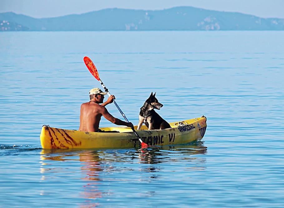 man, dog, riding, boat, daytime, oars, water, paddle, calm, summer