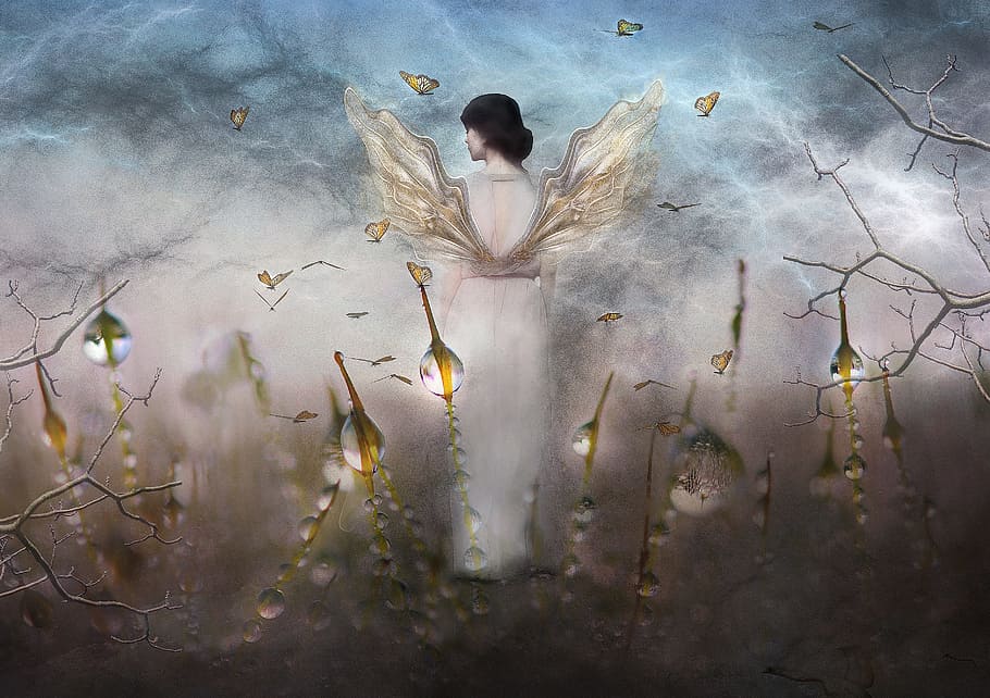 illustration of angel, fairy, butterflies, sky, garden, light, magic, wings, woman, texture